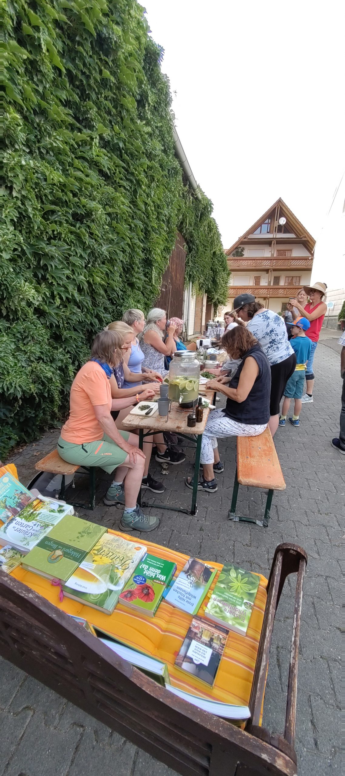 Kräuter schnippeln und pflücken